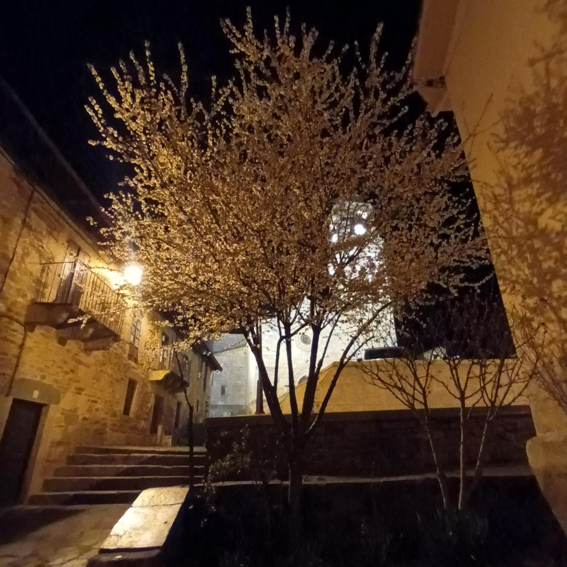 La Artesonada Casa Con Finca Villa ปัวบลา เด ซานาเบรีย ภายนอก รูปภาพ